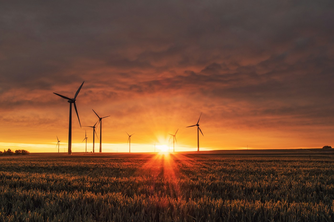 Wind turbines across a green landscape