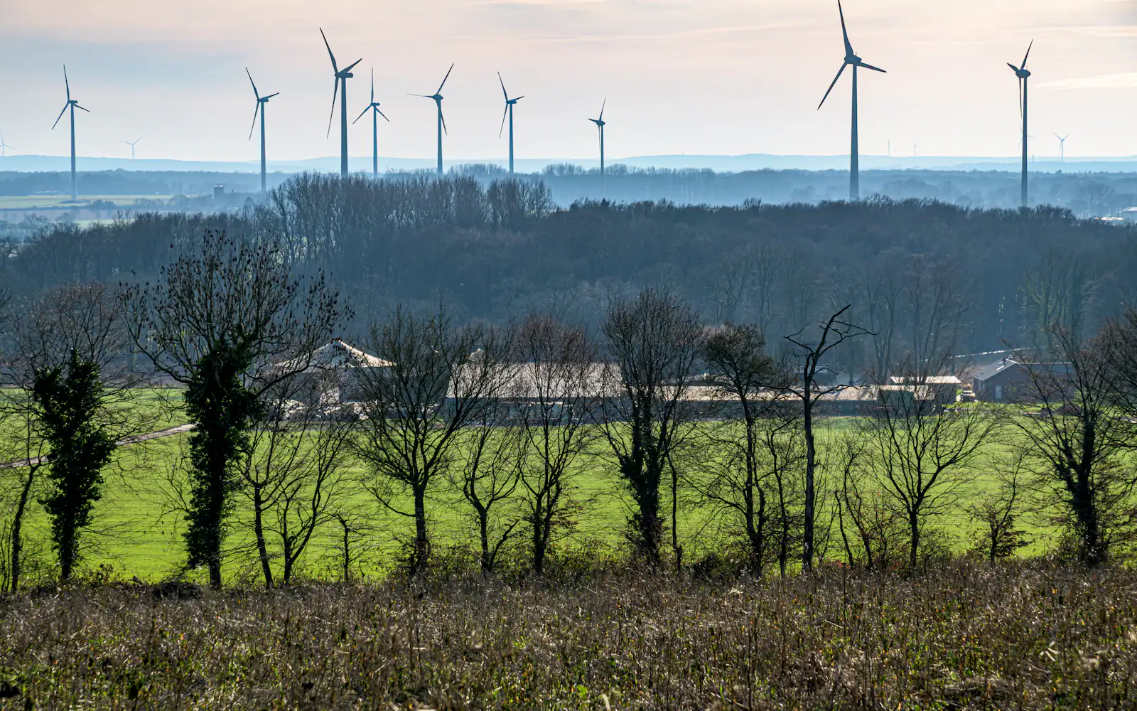 Wind turbines in a renewable-energy landscape